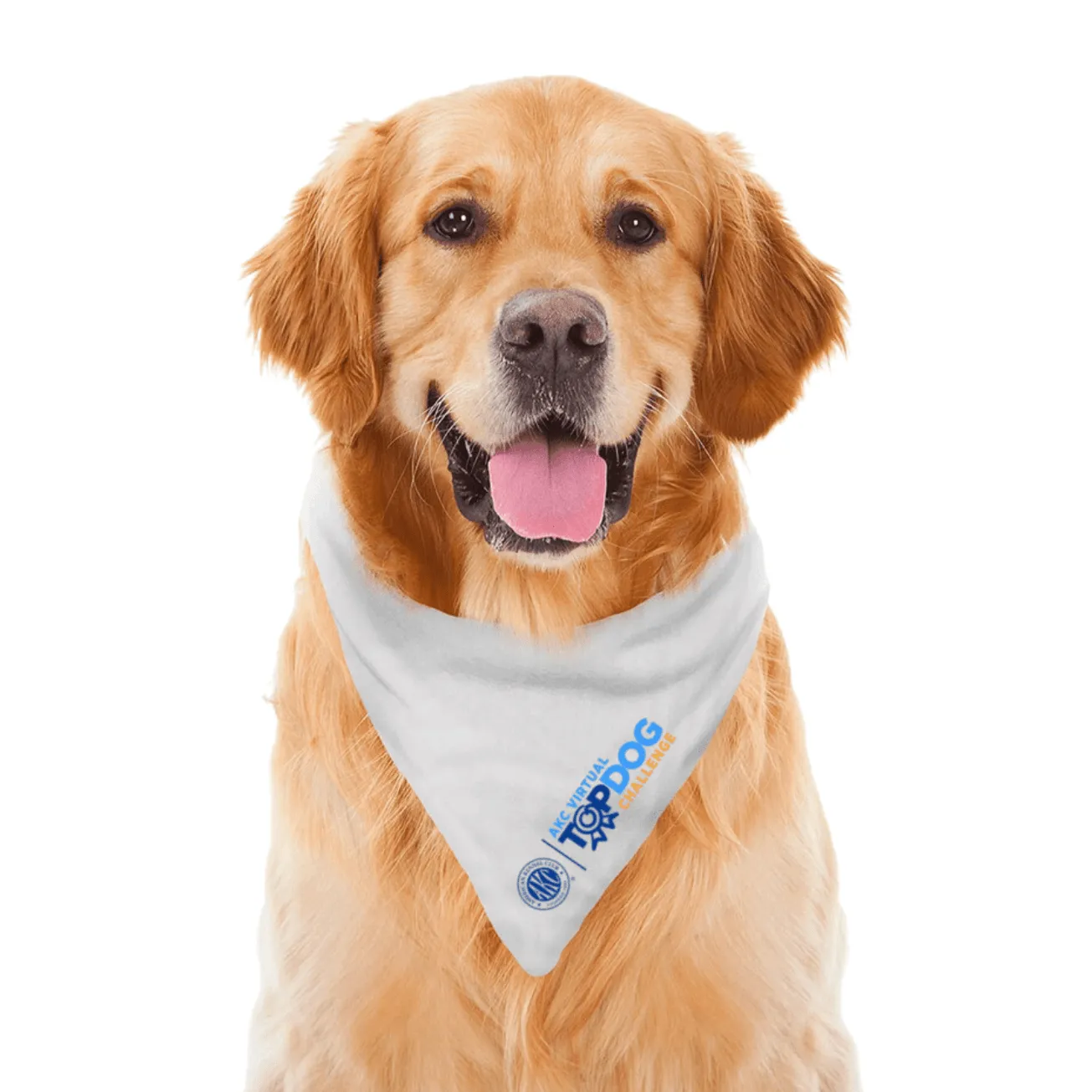 AKC Virtual Top Dog Challenge Dog Bandana