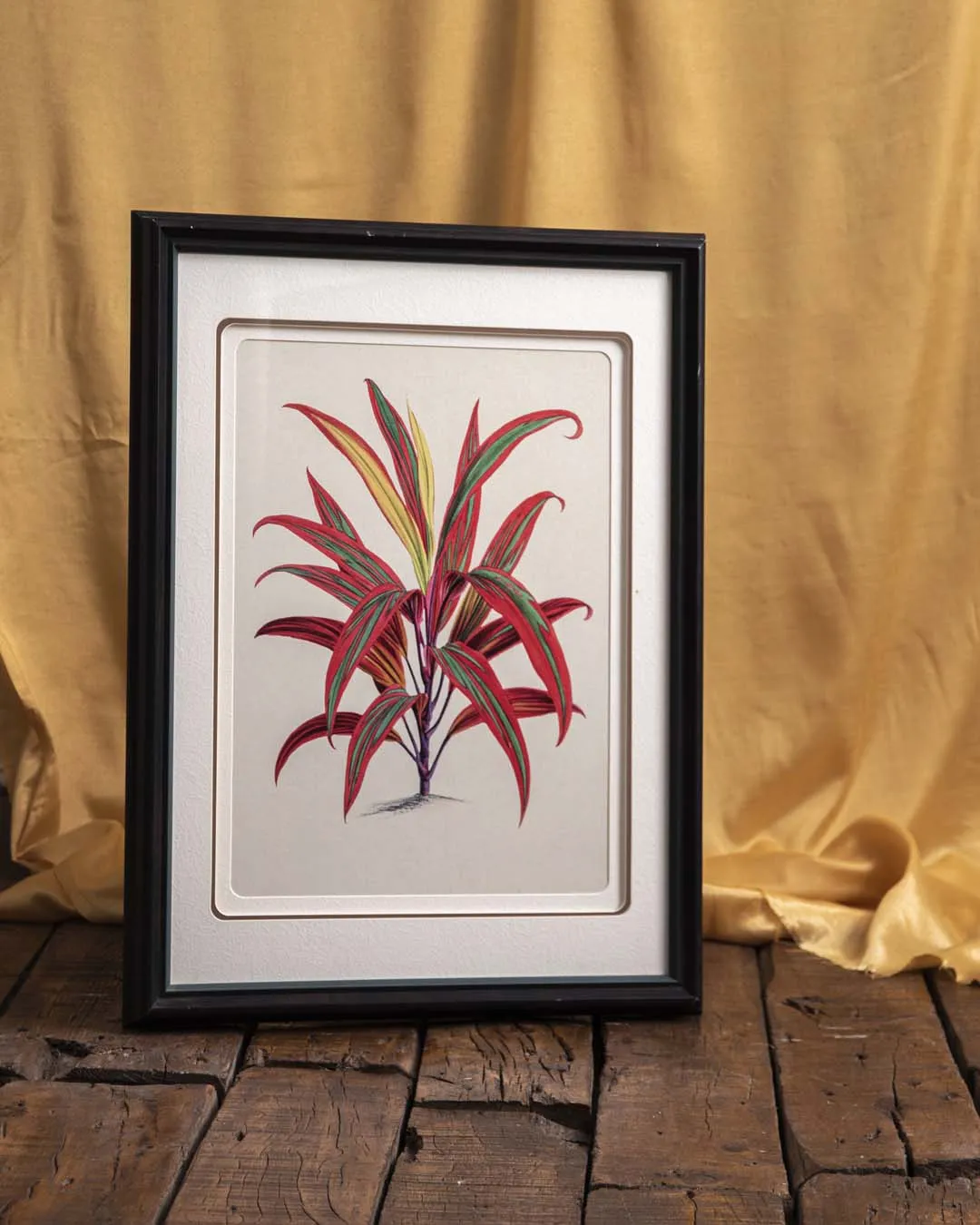 Beilschmiedia Taiaire Tawa - Framed Wall Art