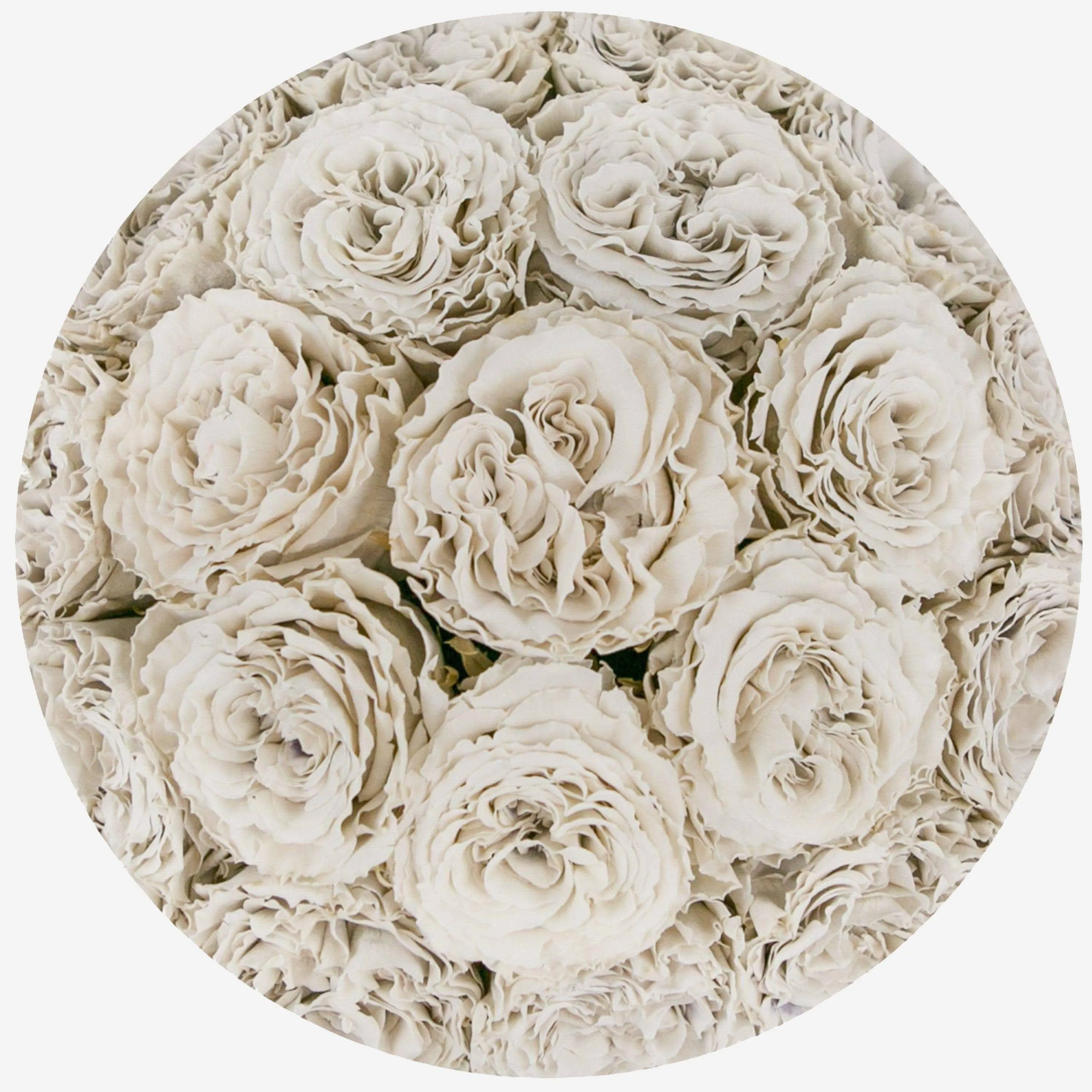 Classic Black Dome Box | Off White Carmen Roses