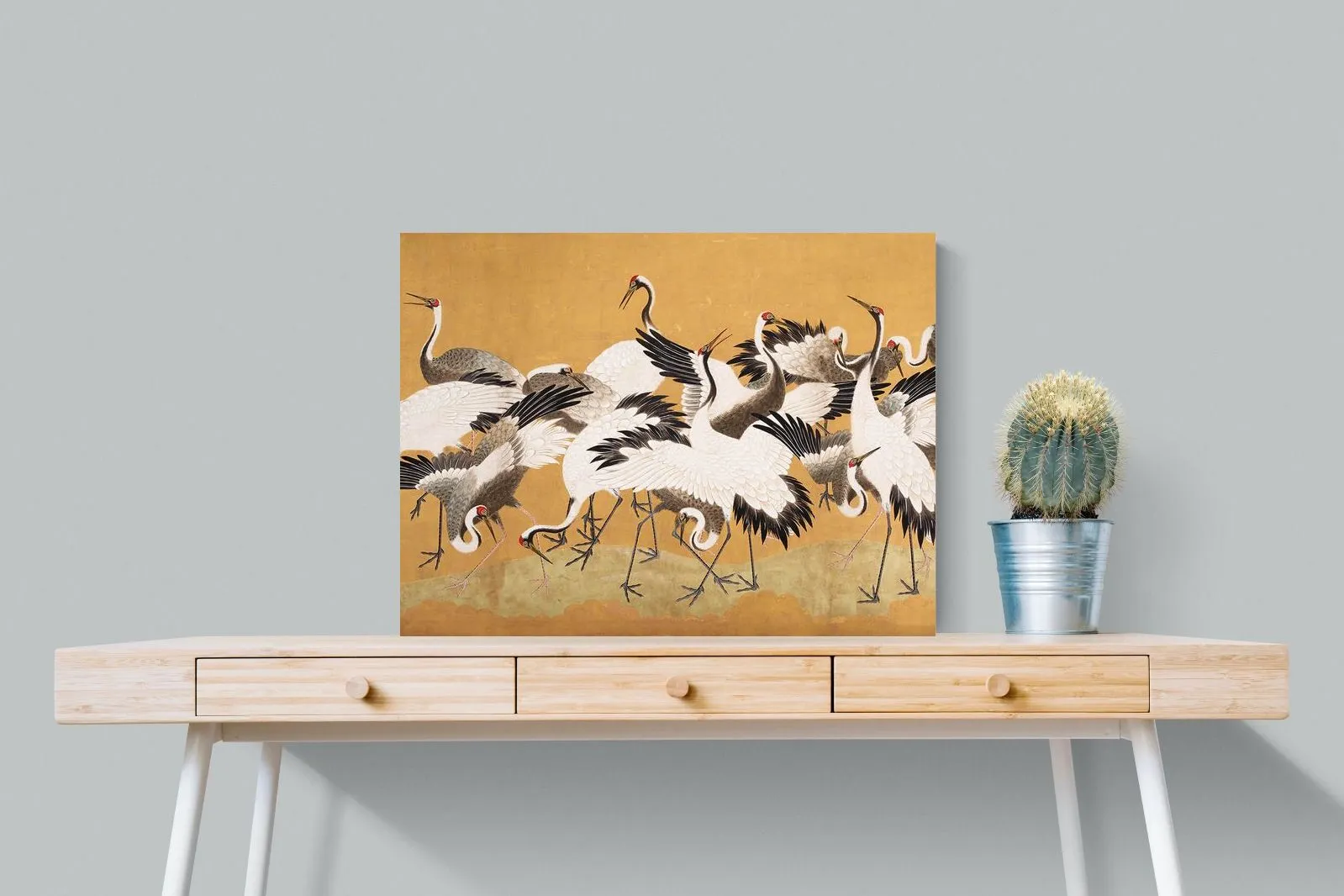 Crane Birds