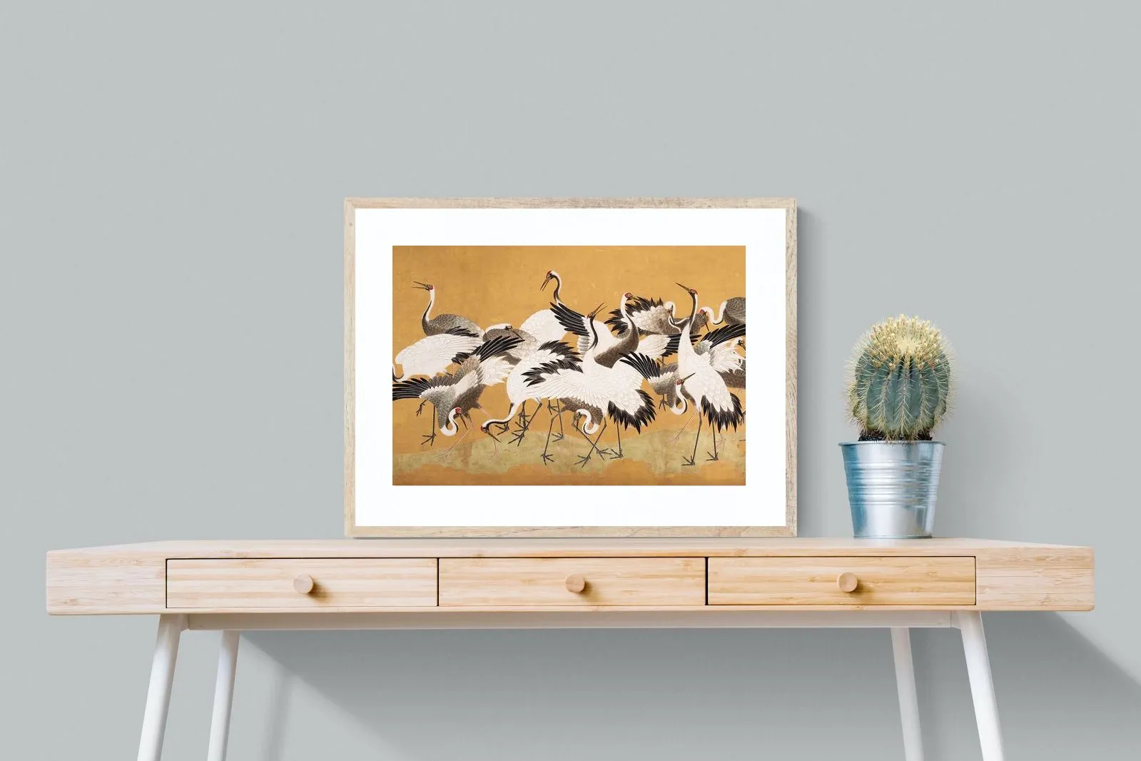 Crane Birds