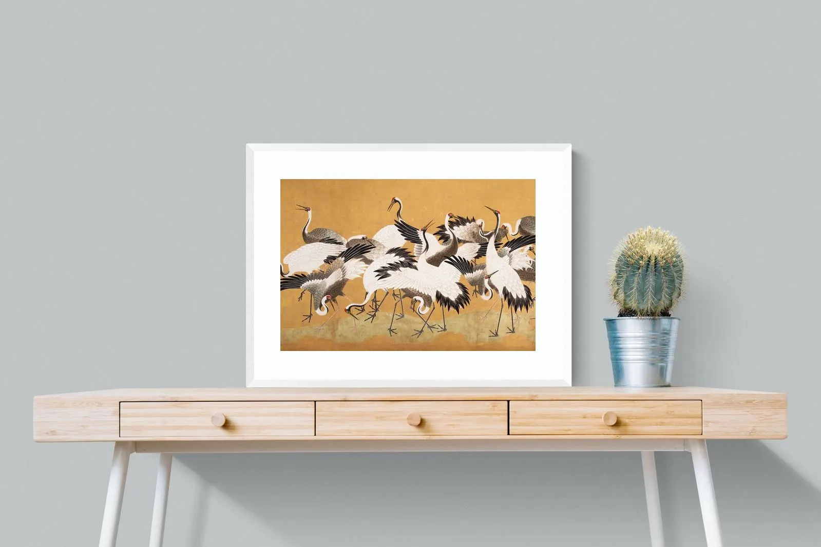 Crane Birds