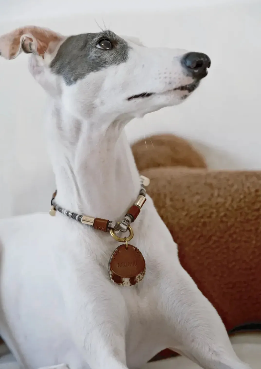 Customizable Leather Pet Collar with Personalized Name Tag