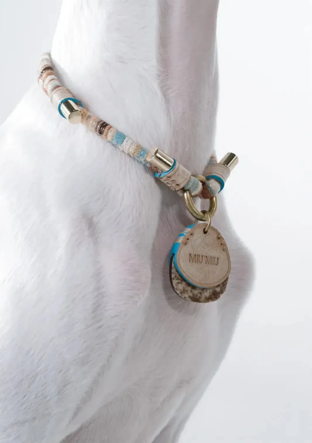 Customizable Leather Pet Collar with Personalized Name Tag