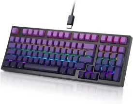 Wired Gaming Keyboard 97 Keys Mechanical Keyboard, Hot Swappable Keyboard, RGB Backlit, Side Printed Gradient Color PBT Keycaps, for PC Gamer, Typist(Gradient Purple)